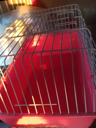 Jaula cobaya blanca y amarilla