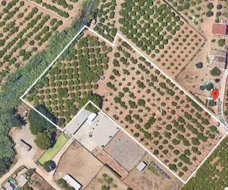 Huerto Naranjos - 7.328m²