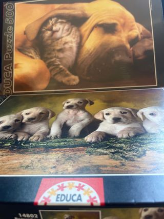 2 Puzzles EDUCA 500 piezas