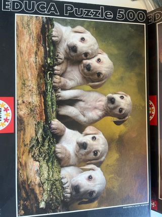 2 Puzzles EDUCA 500 piezas