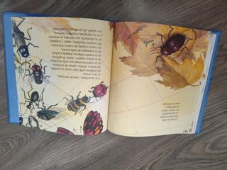 LA TELA DE ARAÑA QUE TODO LO APAÑA (Tren azul. ...