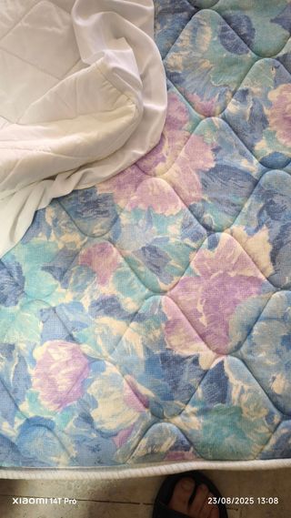 Cama plegable individual