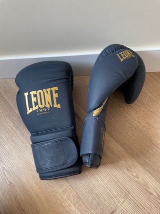 Guantes boxeo Leone Blue Edition (14 oz)
