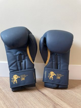 Guantes boxeo Leone Blue Edition (14 oz)