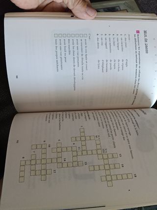 Double assassinat dans la Rue Morgue. Livre + C...