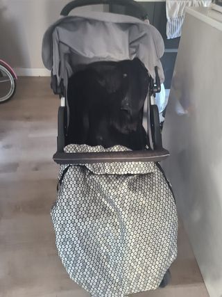 Carrito bebé Alsalvo