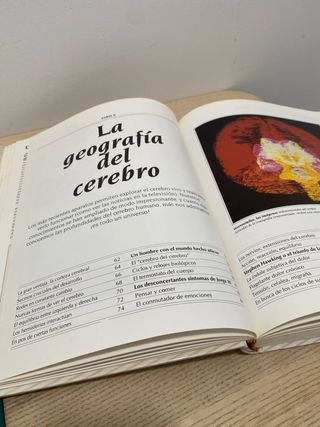 LOS PORQUES DE LA MENTE HUMANA