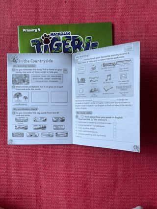 TIGER 4 TEAM