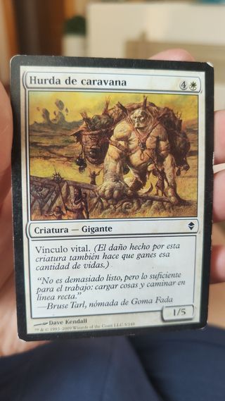 Lote de cartas Magic