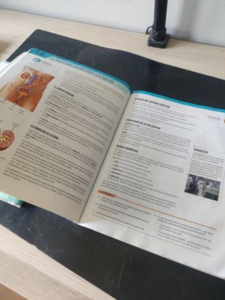 Biología y Geología 2º ESO