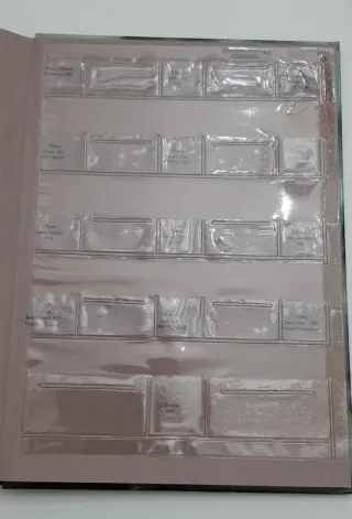 Historia de la peseta al euro