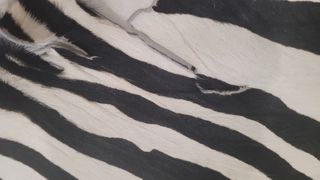 Alfombra print animal