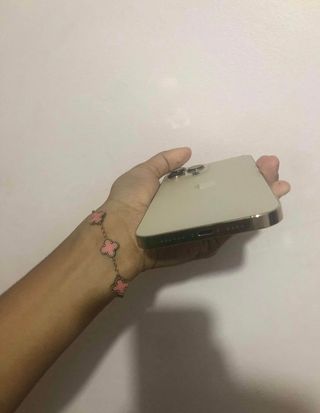 iPhone 13 Pro Max 256GB - Dorado