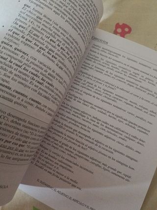 Introducción a la lengua española