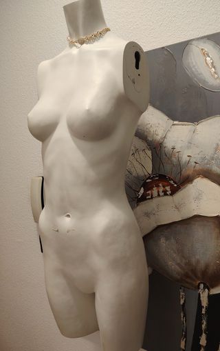 Vendo maniquí