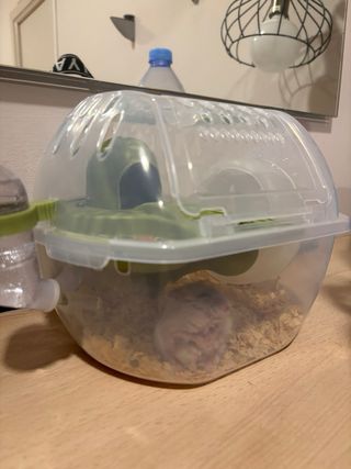 Jaula hamster transporte