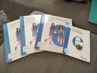 Matemàtiques, 6 Primària