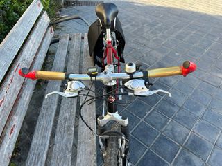 Bicicleta Orbea Máster Tuareg 20". Tamaño L