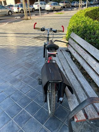 Bicicleta Orbea Máster Tuareg 20". Tamaño L