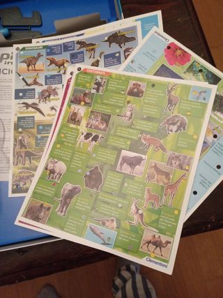 Sapientino Interactive: Enciclopedia