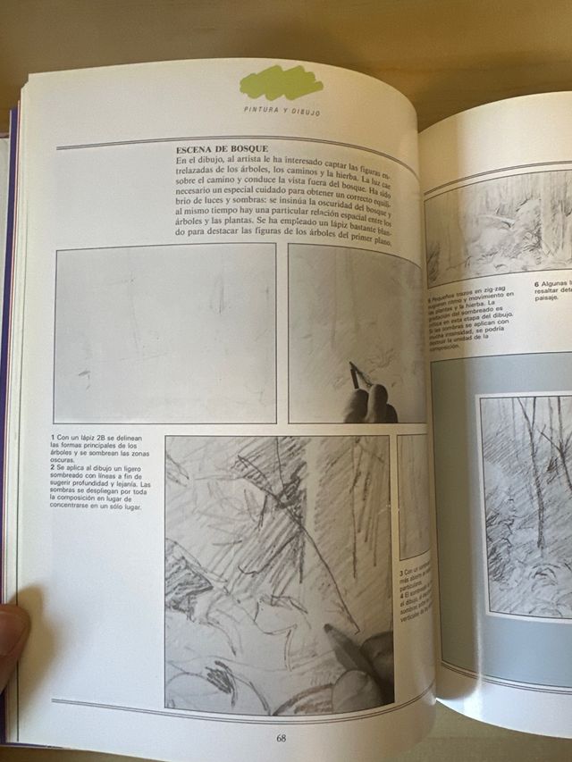 Introducción a la pintura y el dibujo