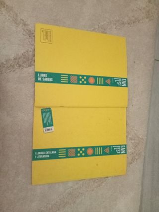 Llengua catalana i literatura 6è Primària LA Fa...