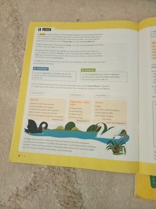 Llengua catalana i literatura 6è Primària LA Fa...
