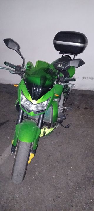 Kawasaki Z750 - Verde - 2007
