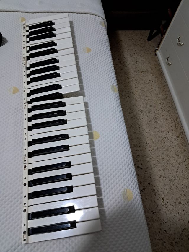 Tecla para Casio Ctk: teclas sueltas 10 octava