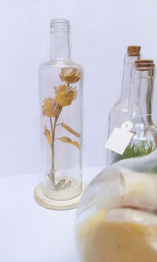 FANALES DE BOTELLAS 