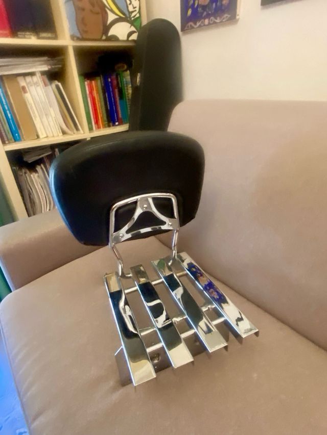 Sissy Bar Harley Davidson