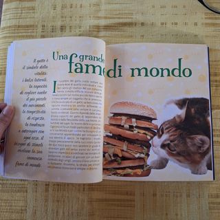 Randagio a chi?