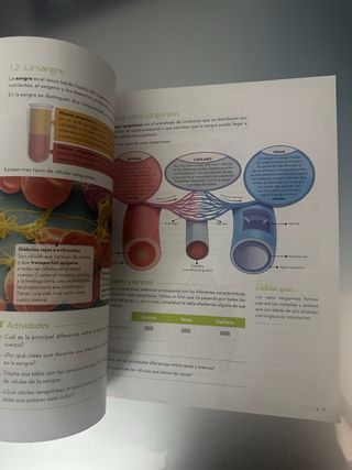 Biología y Geología 3.º ESO 9788448636753