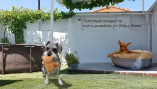 Villa Bimba y Bella,Jardín Salón,Cocina,Sala Juego