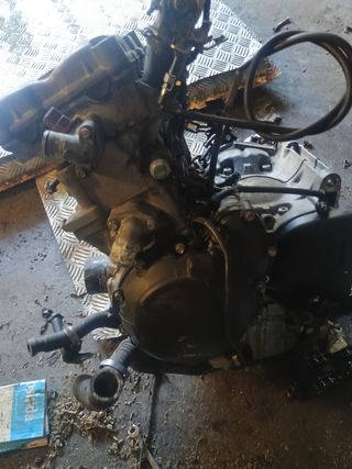 Motor Triumph TT600 - Despiece