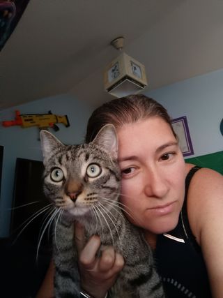 Cuidado de su mascota