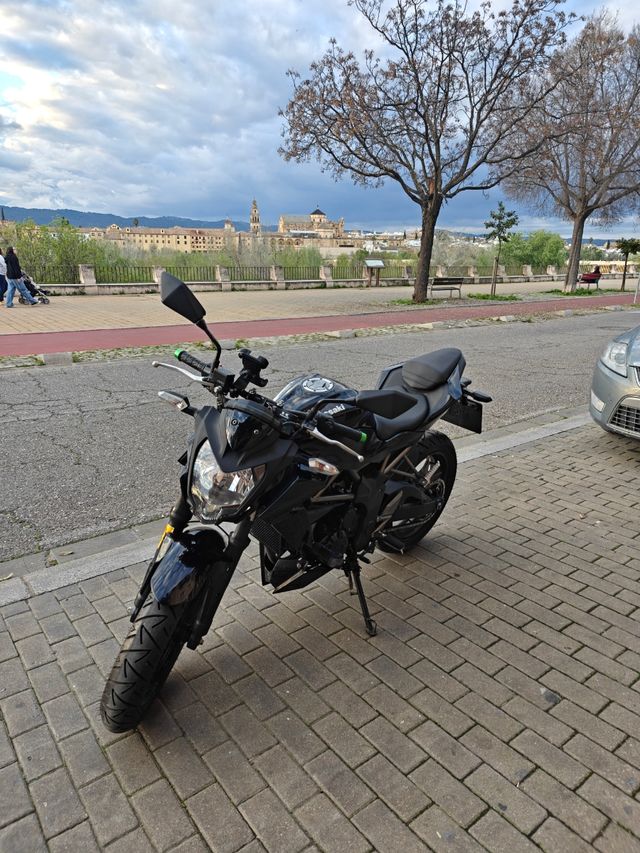 Kawasaki Z250. 2016. 24.500kms