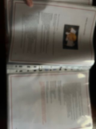 Album Maestra Montessori 3-6 anni