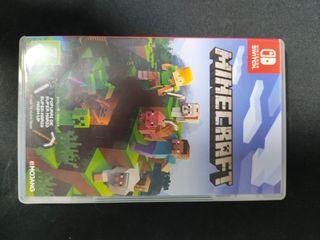 Minecraft Nintendo Switch