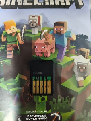 Minecraft Nintendo Switch