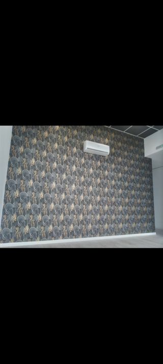 Pintor Profesional en Madrid 