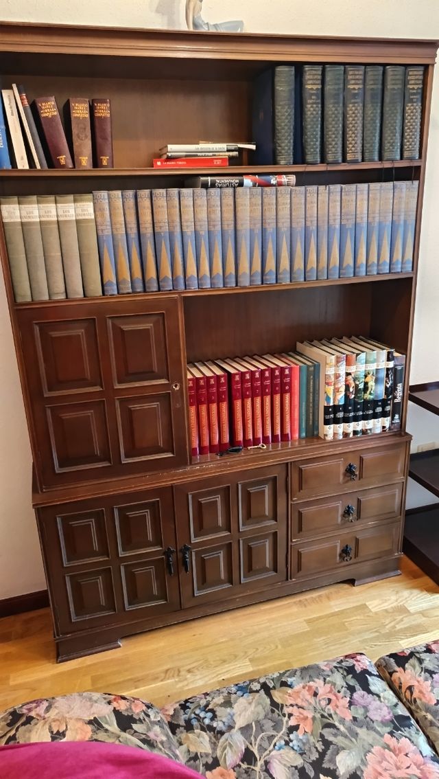 Librería antigua madera