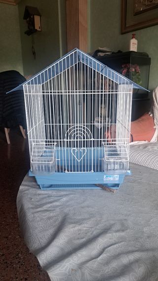 Jaula pájaros azul y blanca