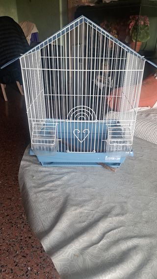 Jaula pájaros azul y blanca