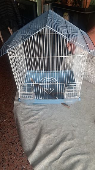 Jaula pájaros azul y blanca