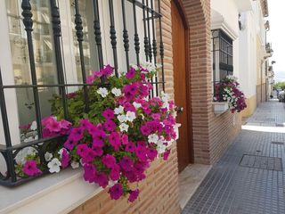Casa 3 plantas