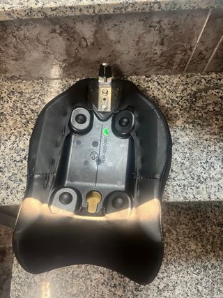 Asiento pasajero Harley Davidson street bob