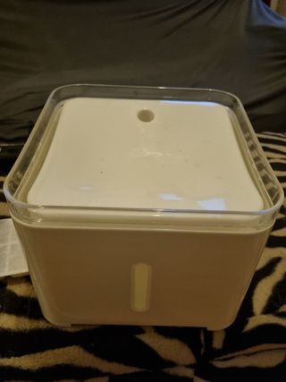 Fontanella acqua gatti