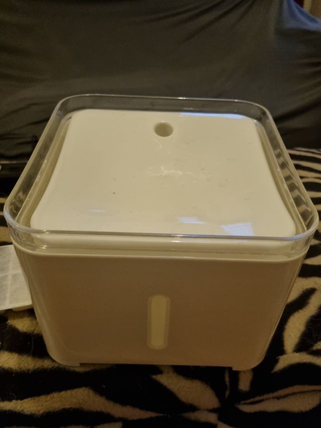 Fontanella acqua gatti