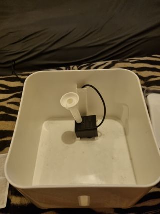 Fontanella acqua gatti